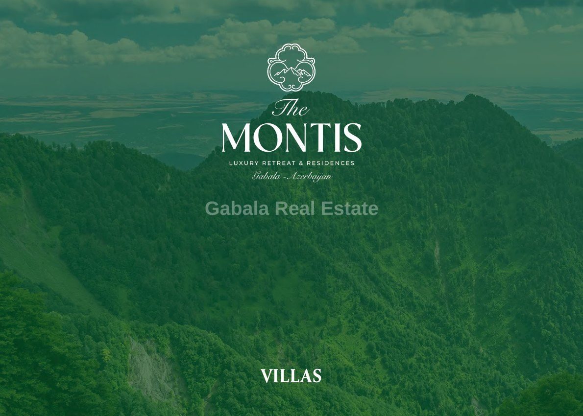 The Montis, photo 5